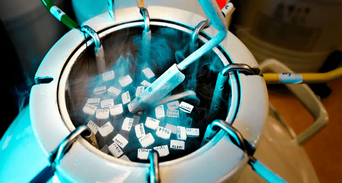 How To Protect Your Fertility With The Sperm Storage Method