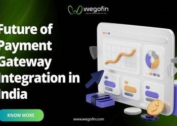 Future of Payment Gateway Integration in India
